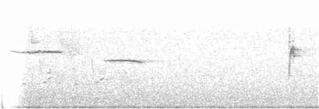Белогорлая зонотрихия - ML151699931