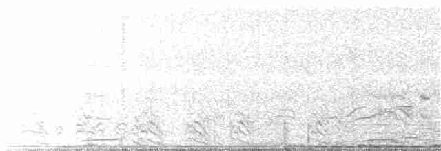 Gallo de las Praderas Grande - ML151701981