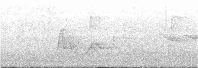 Hooded Warbler - ML151767641