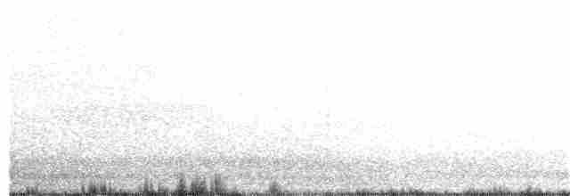 Eastern Black-eared Wheatear - ML151795001