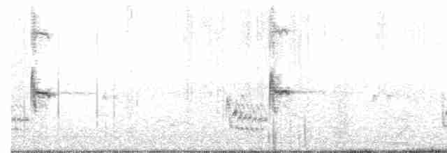 Loggerhead Shrike - ML151824971