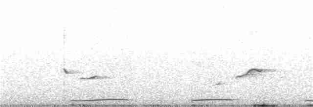 Воробьиная земляная горлица - ML151859291