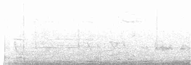 Інезія тонкодзьоба - ML151859341