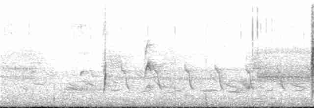 vlhovec červenokřídlý [skupina phoeniceus] - ML151924521