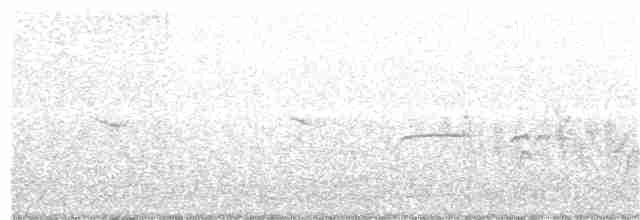 Тиранчик-тонкодзьоб північний - ML151927401
