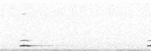 Chevêchette naine - ML152006401