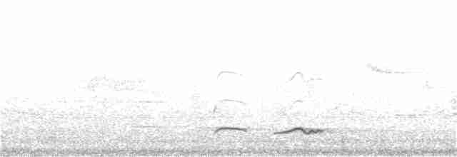 Büyük Atmaca Guguğu - ML152016131