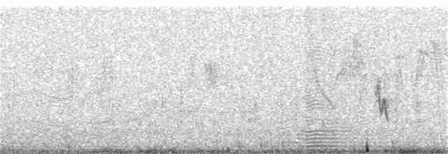 Iora à queue blanche - ML152048241