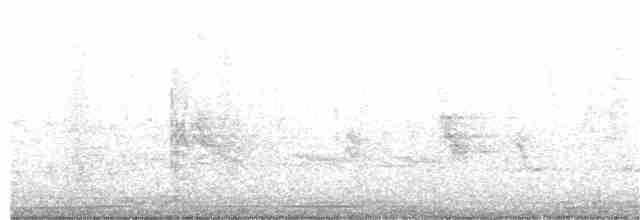 珠頸斑鳩 - ML152052431