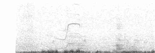 Чайка чубата - ML152102721