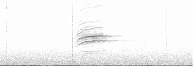 Дрізд-короткодзьоб плямистоволий - ML152139151