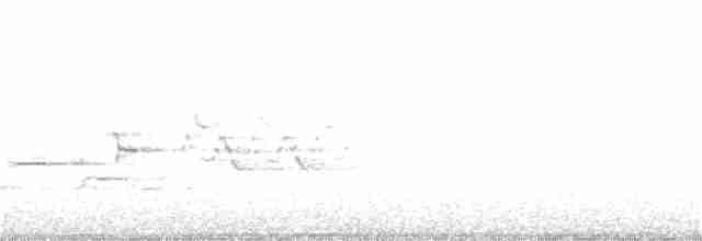 Hermit Thrush - ML152139251