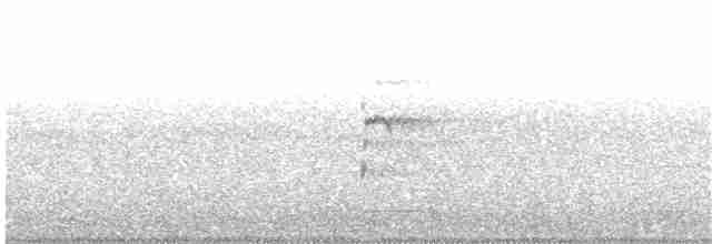 Патагонский конёк - ML152179661