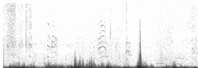 Common Tern - ML152248091