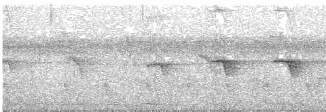 Spot-throated Babbler - ML152254141