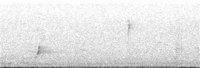 Brown-crested Flycatcher - ML152292771