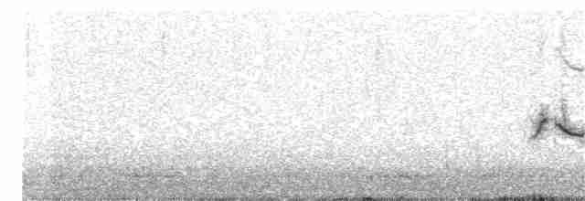 Gray-crowned Yellowthroat - ML152309981