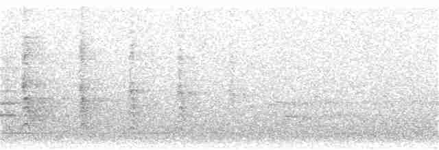 Красноплечий канюк - ML152391521