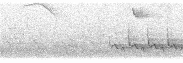 Каролинский крапивник - ML152391591