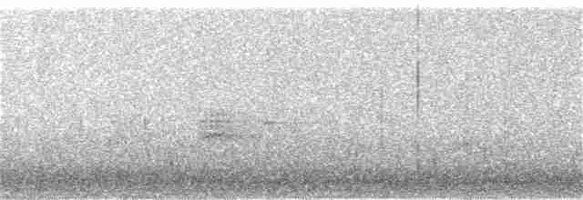 Evening Grosbeak (type 4) - ML152402771