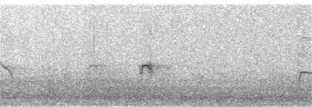 Evening Grosbeak (type 1) - ML152402841