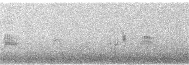 Evening Grosbeak (type 4) - ML152402861