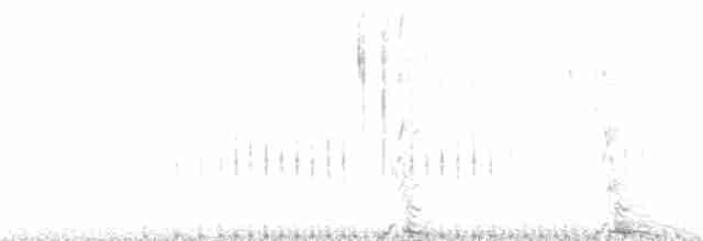 Sharp-tailed Grouse - ML152405771