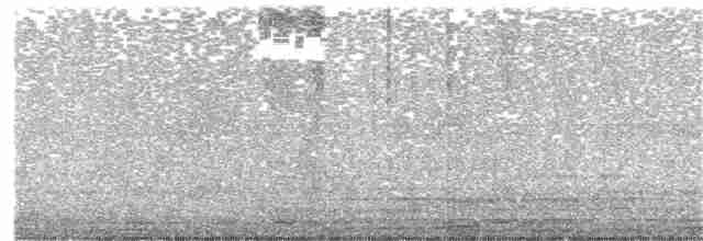 Сова-голконіг далекосхідна - ML152496551