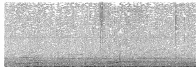 Бурая иглоногая сова - ML152496561