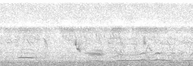 Сиреневогрудая нектарница - ML1525