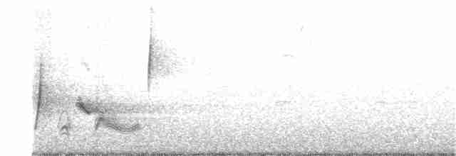 Vireo Ojiblanco - ML152512941
