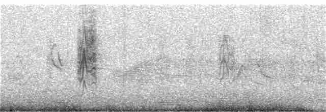 Kara Başlıklı İskete - ML152538051