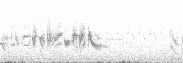 Пеночковый виреон (arizonae) - ML152546221