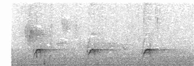 kukačka veverčí - ML152551791