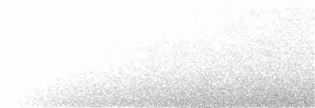 Weißkehlmonarch - ML152570691