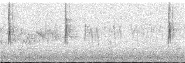 Пісняр-лісовик жовтогузий (підвид coronata) - ML152575381