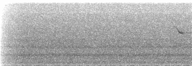 Трясогузковый певун - ML152624431