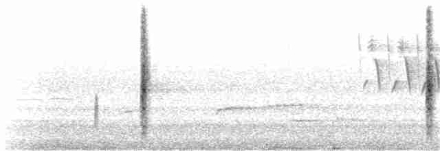 vlhovec červenokřídlý [skupina phoeniceus] - ML152624721