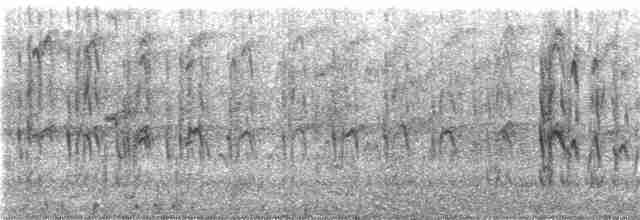Sert Tüylü Ağaçkakan [villosus grubu] - ML152625321