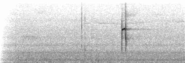 strakapoud americký [skupina villosus] - ML152625361