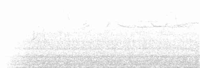 Cırcır Sesli Serçe - ML152626981