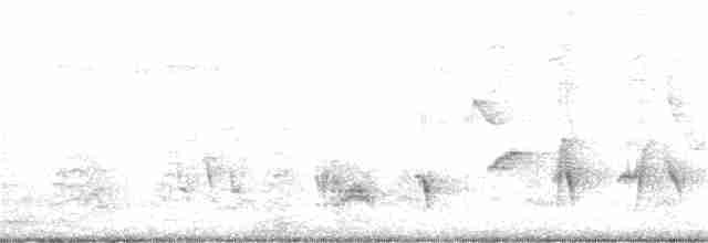 Kalifornienspottdrossel - ML152697221