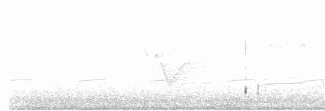 Rotbrustkleiber - ML152697471