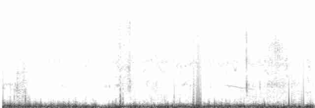 Серогрудый тиранн - ML152713931