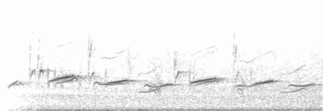 Пятнистогрудая тимелия-говорушка - ML152741321