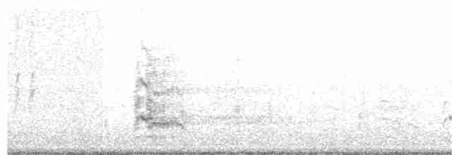 Royal Tern - ML152762181