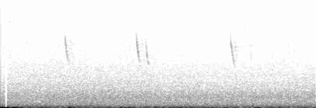 Band-tailed Earthcreeper - ML152774911
