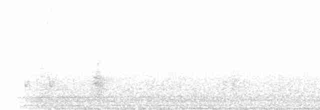 Great Reed Warbler - ML152777611