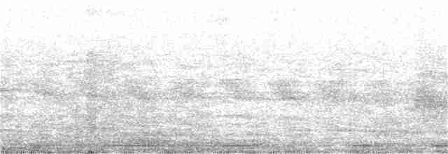 Mor Nektarkuşu - ML152789171