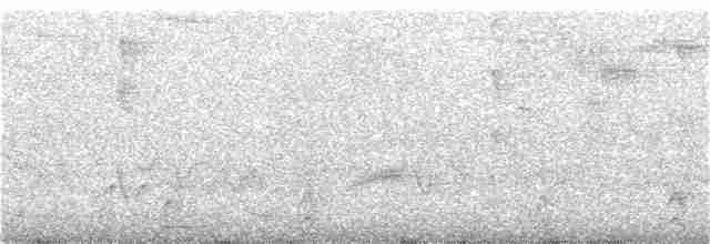 holub bledolící - ML152797661
